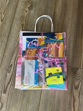 Staple Pink Party Gift Bag Pack with Pink Ribbon and Assorted Notes